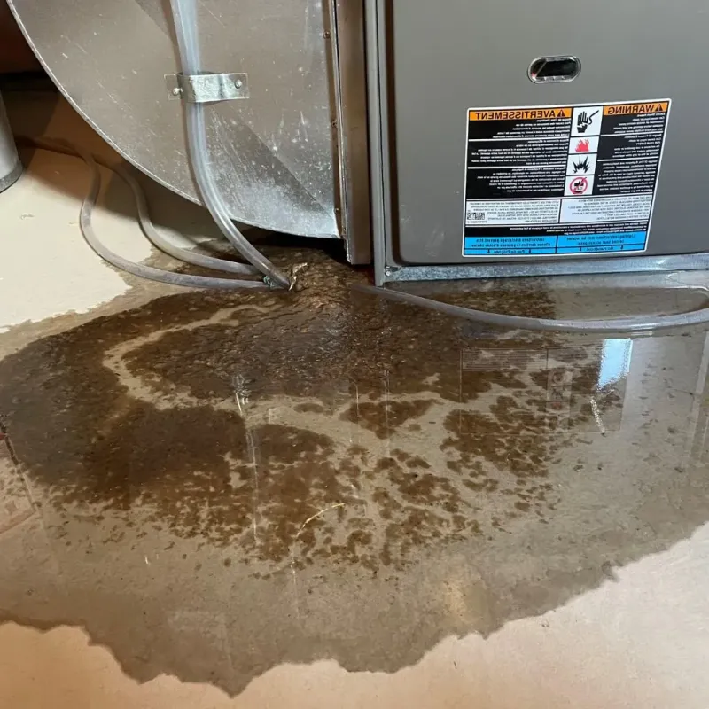 Pipe Burst and Leak Restoration in Moose Wilson Road, WY