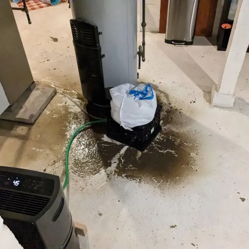 Sewage Backup Cleanup Service in Moose Wilson Road, WY
